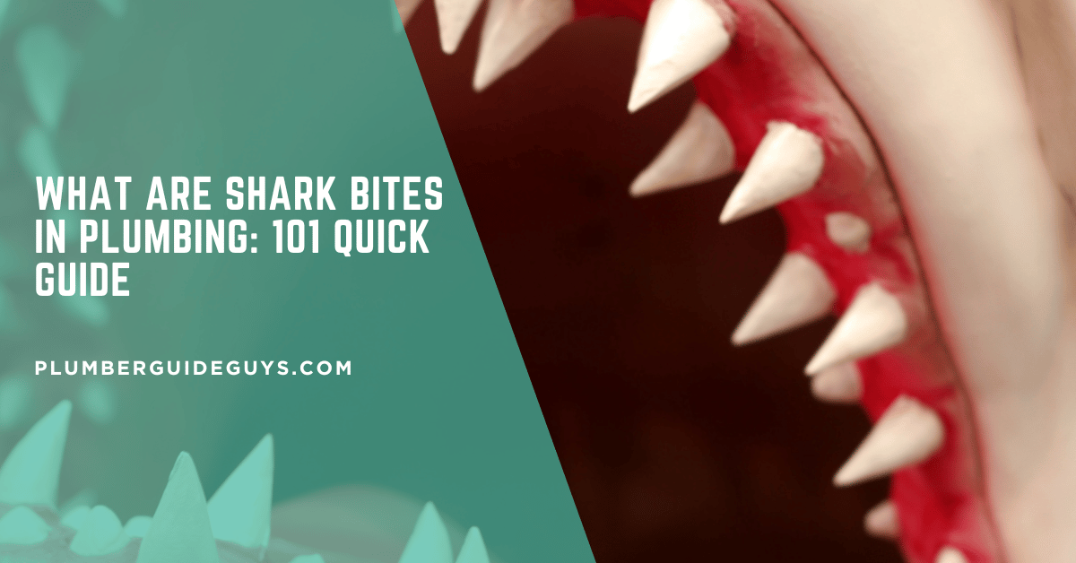 What Are Shark Bites in Plumbing: 101 Quick Guide