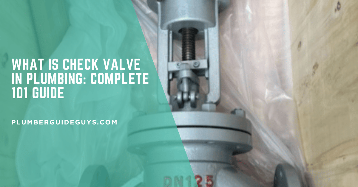 What Is Check Valve in Plumbing: Complete 101 Guide