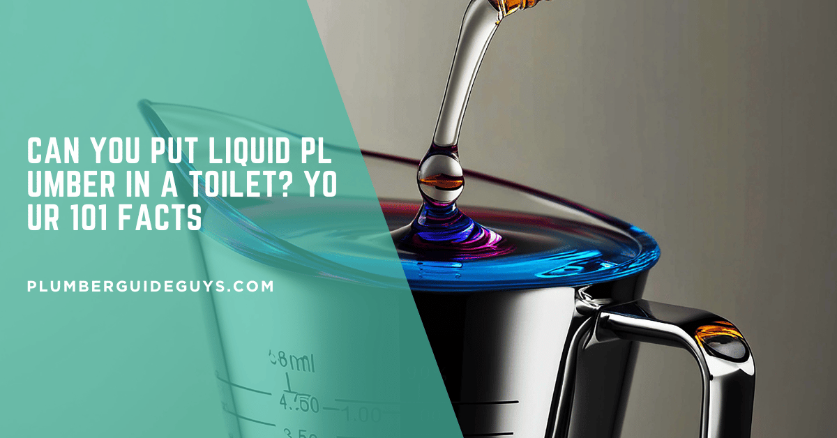 Can You Put Liquid Plumber in a Toilet? Your 101 Facts
