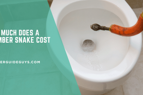 How Much Does a Plumber Snake Cost