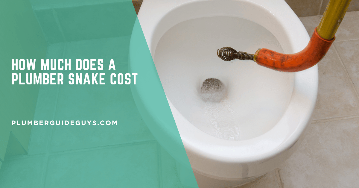 How Much Does a Plumber Snake Cost