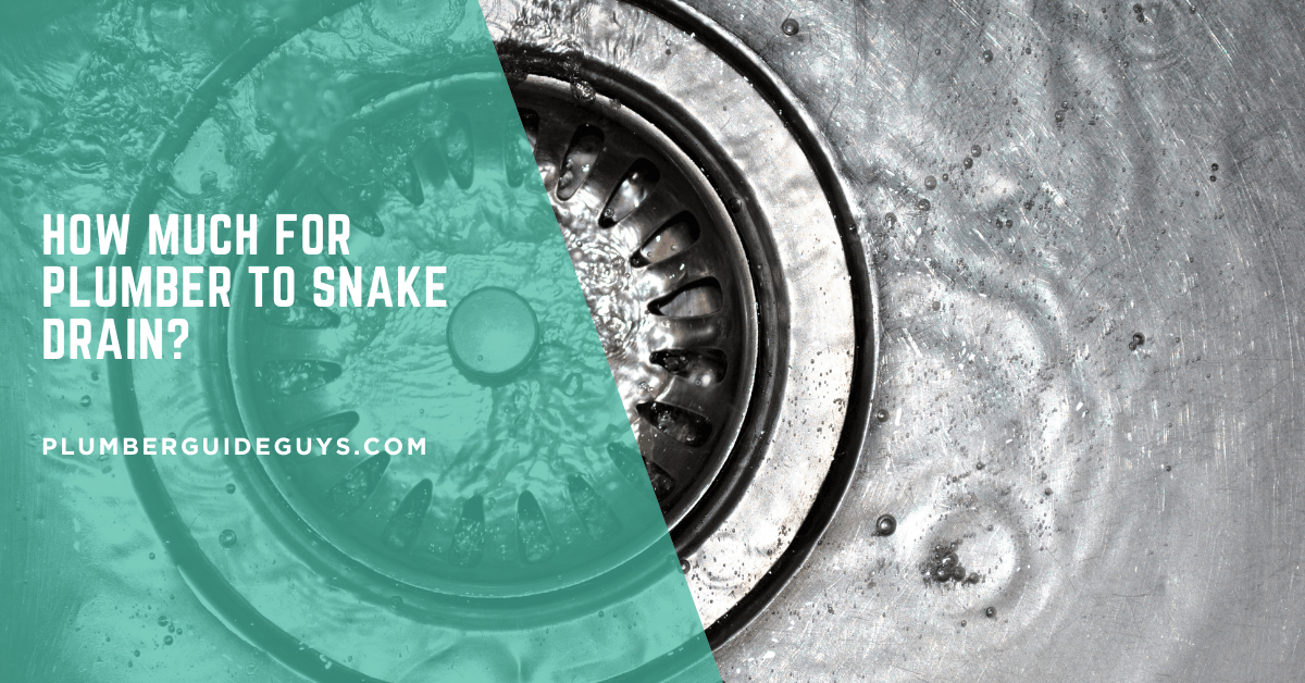 How Much for Plumber to Snake Drain?