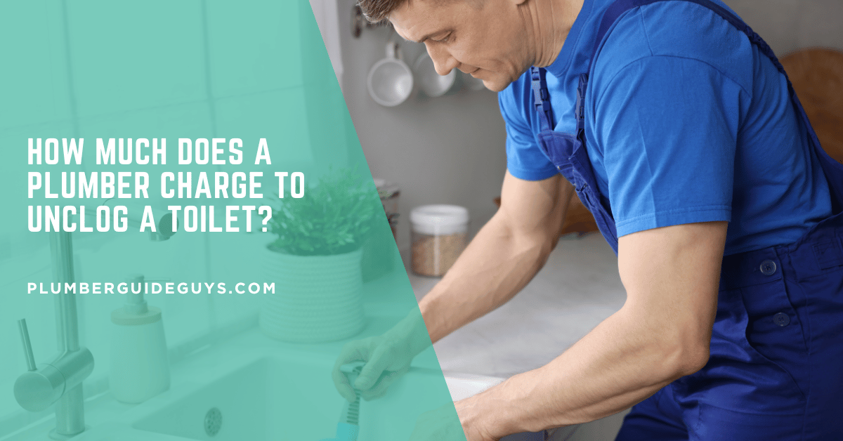How Much Does a Plumber Charge to Unclog a Toilet?