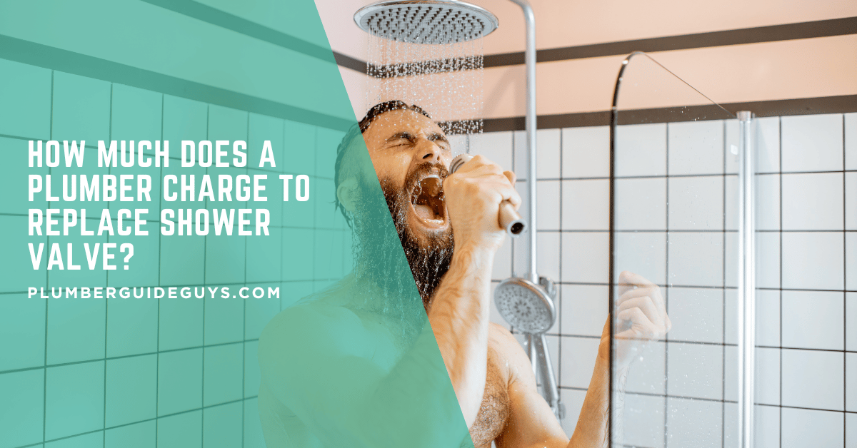 How Much Does a Plumber Charge to Replace Shower Valve?