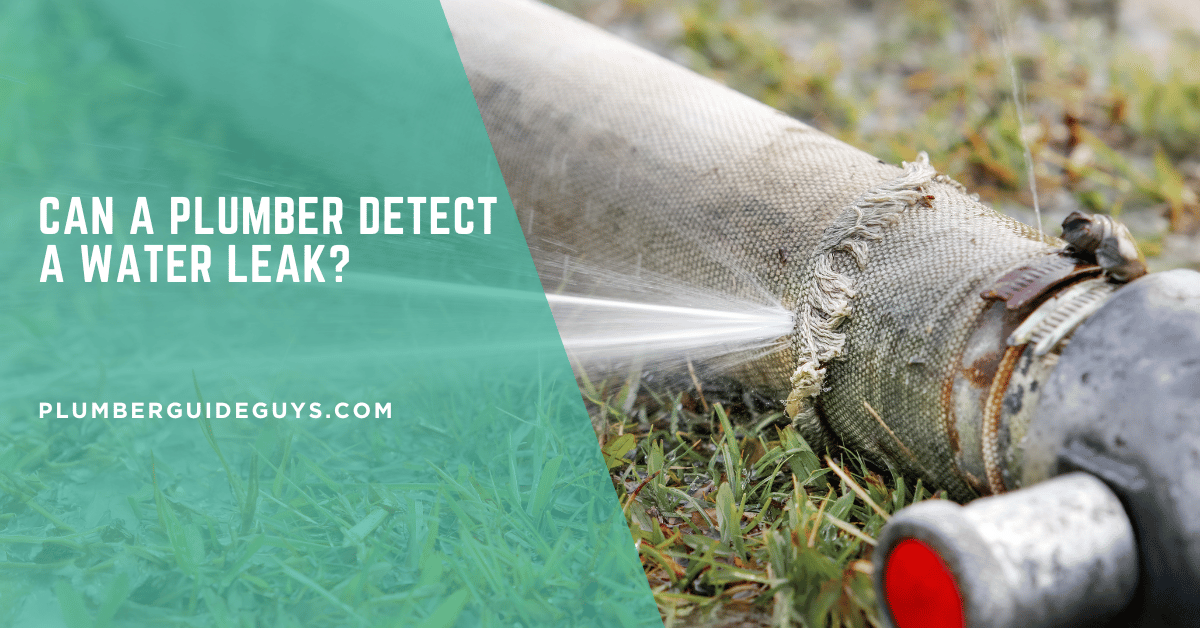 Can a Plumber Detect a Water Leak?