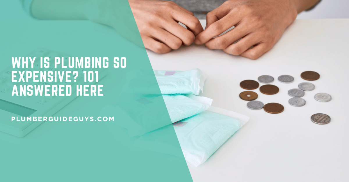 Why Is Plumbing So Expensive? 101 Answered Here