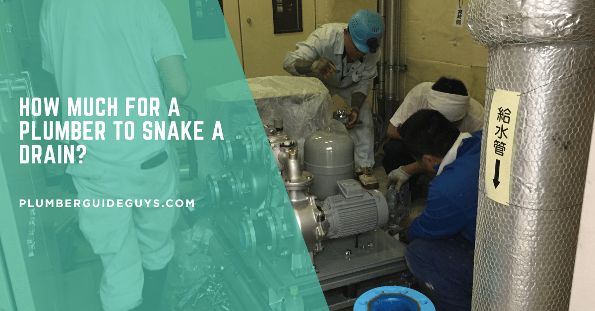 How Much for a Plumber to Snake a Drain?