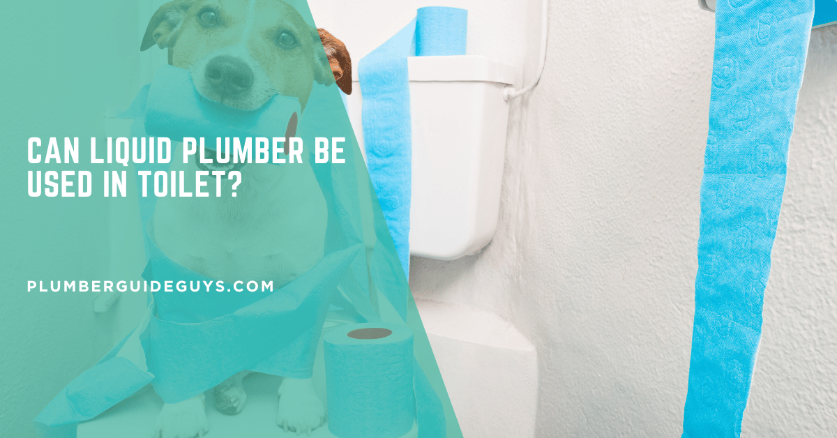Can Liquid Plumber Be Used in Toilet?