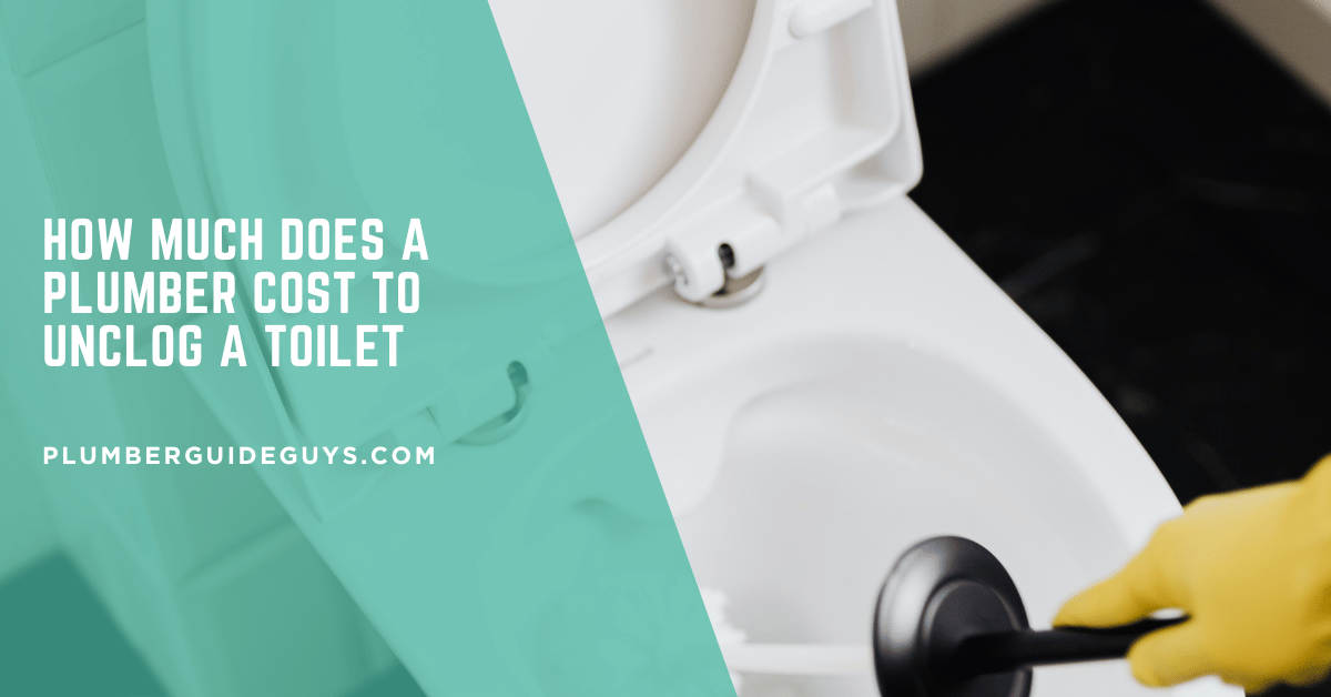 How Much Does A Plumber Cost To Unclog A Toilet