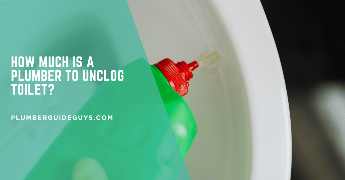 How Much is a Plumber to Unclog Toilet?