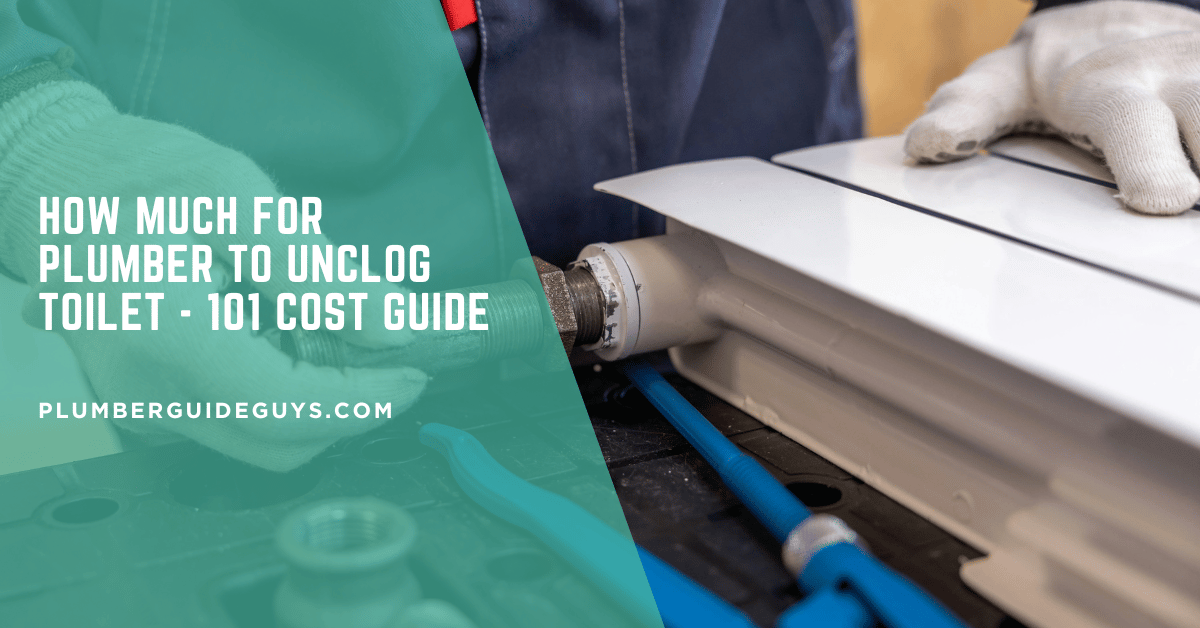 How Much For Plumber To Unclog Toilet - 101 Cost Guide