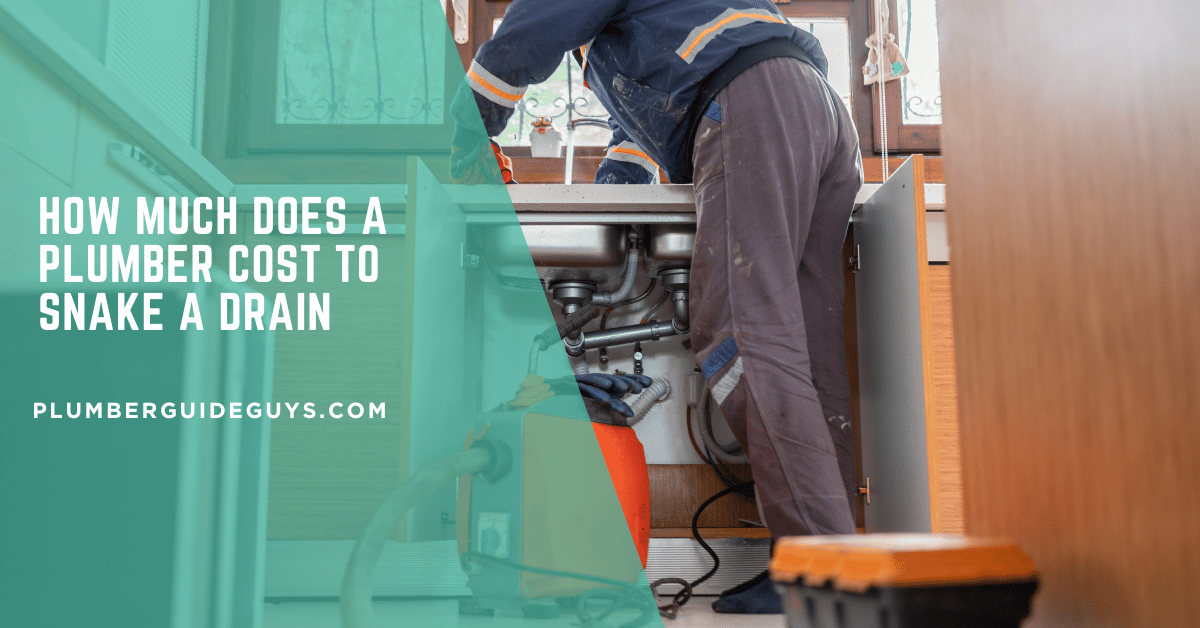 How Much Does a Plumber Cost to Snake a Drain