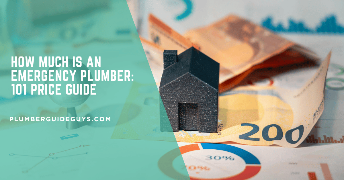 How Much Is an Emergency Plumber: 101 Price Guide