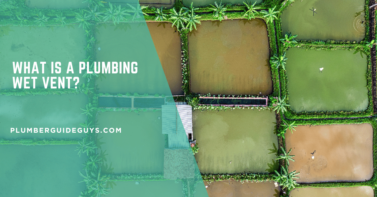 What is a Plumbing Wet Vent?