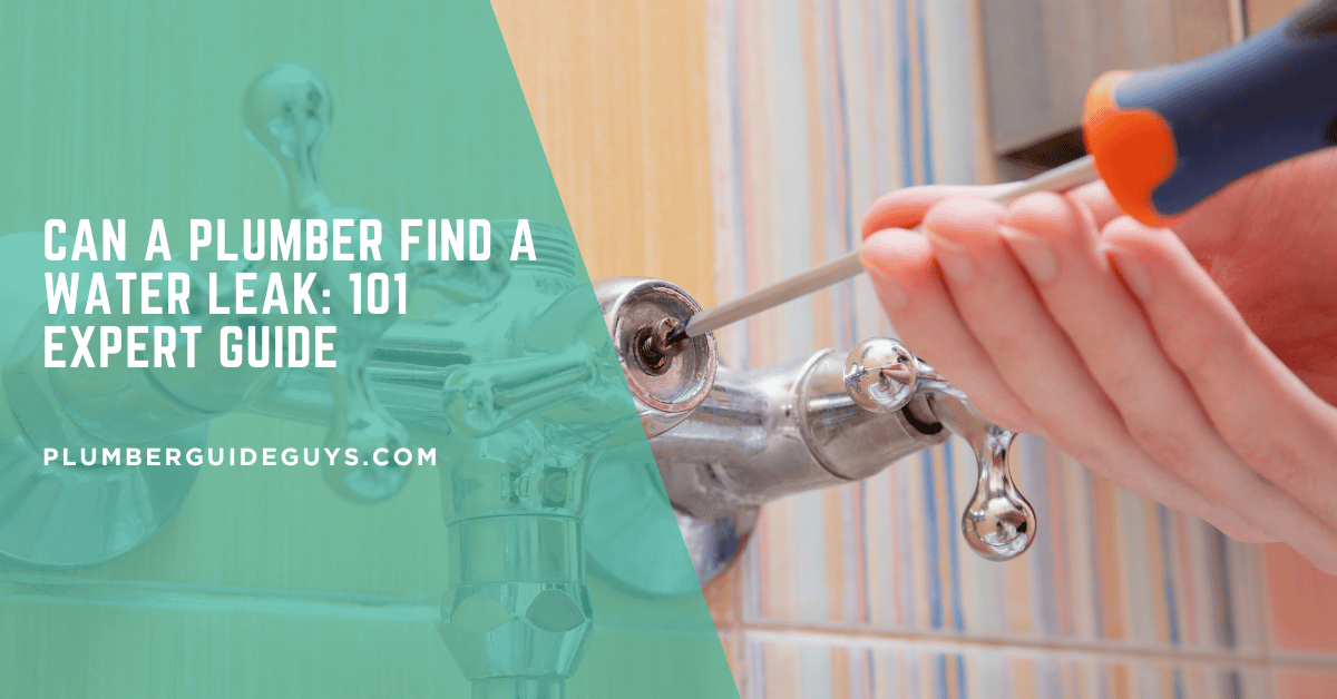 Can a Plumber Find a Water Leak: 101 Expert Guide