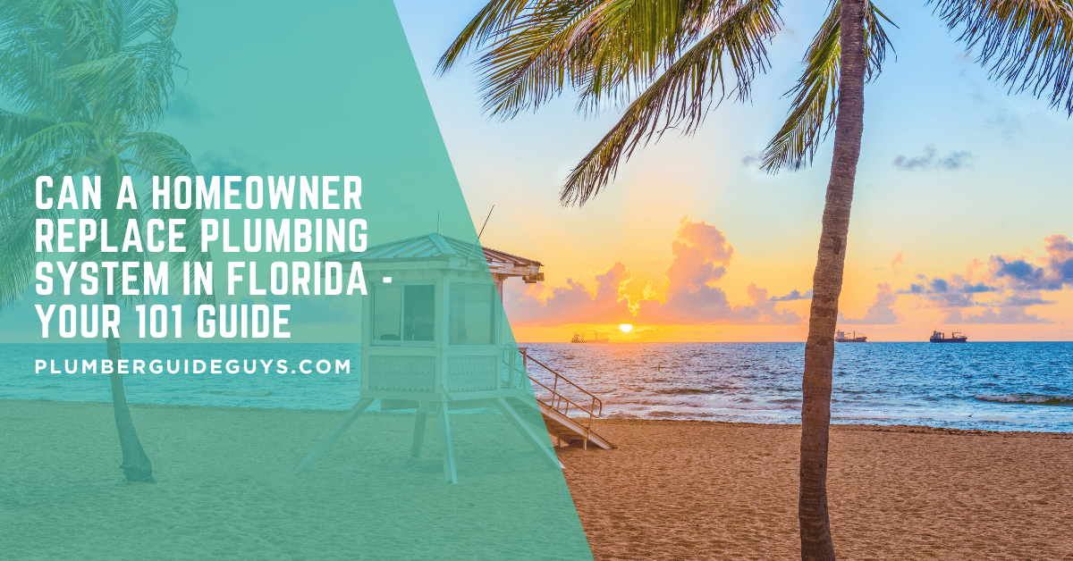Can a Homeowner Replace Plumbing System in Florida - Your 101 Guide